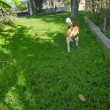 펜션 St Andrews Seafront *