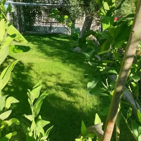 펜션 St Andrews Seafront *