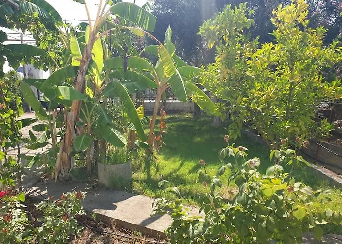 Vakantiehuis St Andrews Seafront Agios Andreas (Messenia)