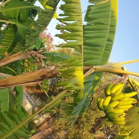 St Andrews Seafront Dom wakacyjny Agios Andreas (Messenia)