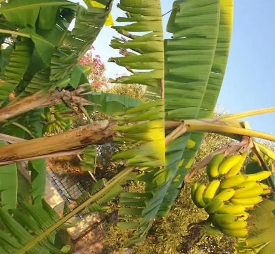 St Andrews Seafront Nyaraló Ájosz Andréasz
