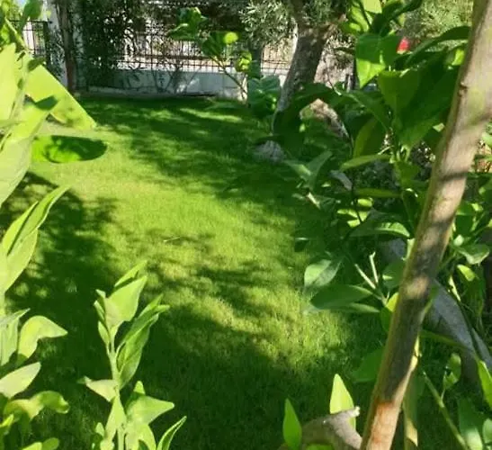 Nyaraló St Andrews Seafront *